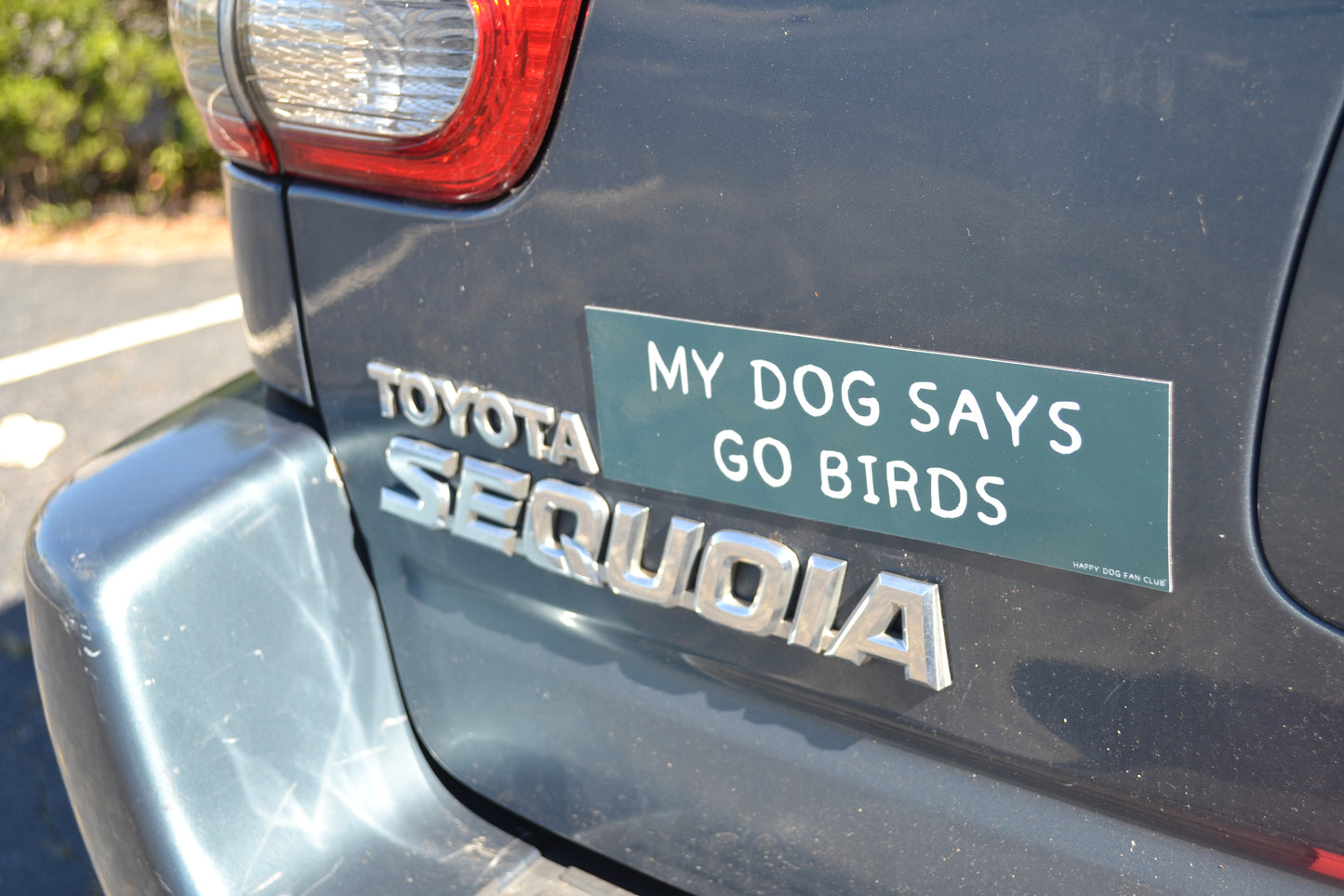 My Dog Says Go Birds Vehicle Magnet