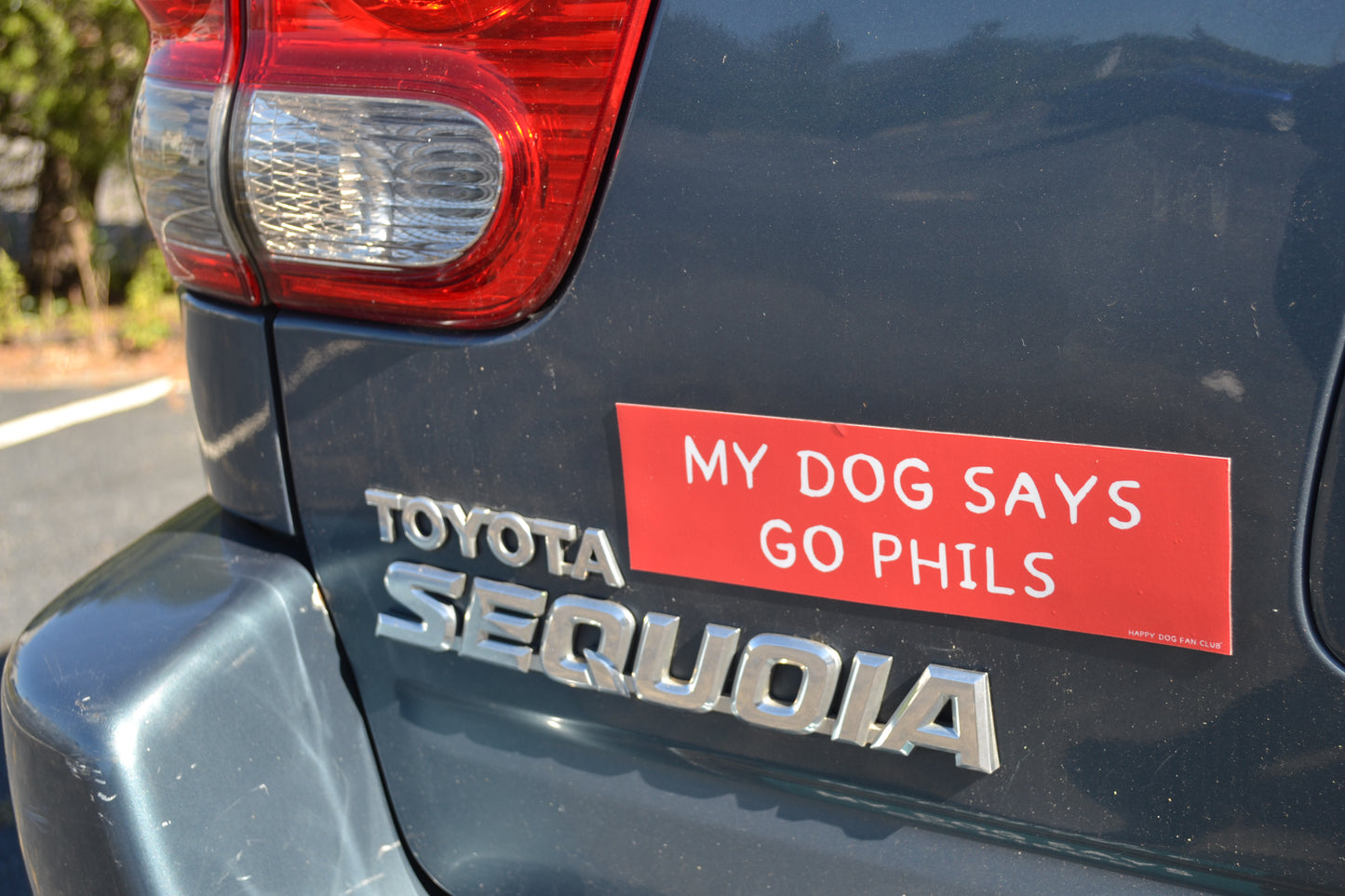 My Dog Says Go Phils Vehicle Magnet